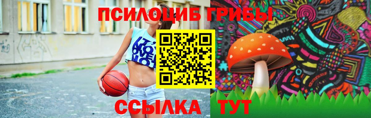 Галлюциногенные грибы Psilocybe Армавир
