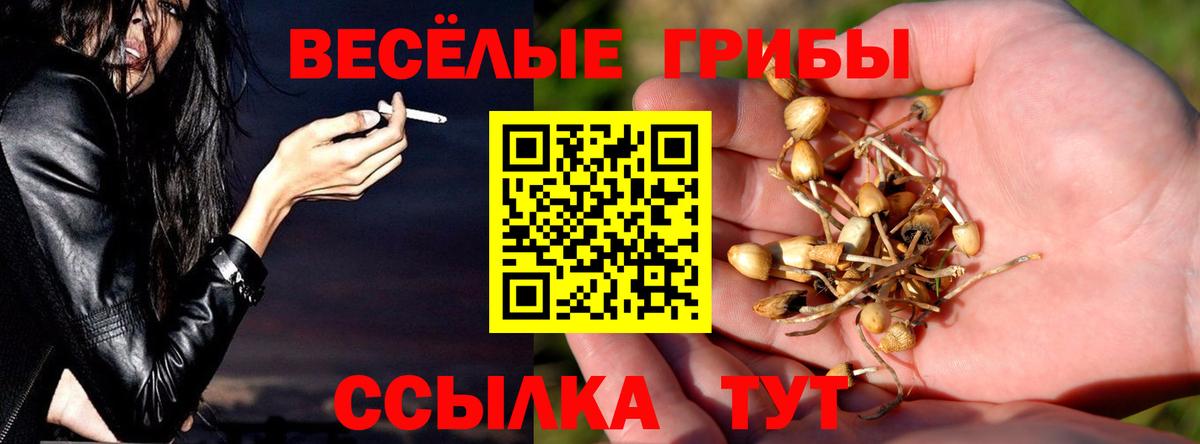 Армавир  Галлюциногенные грибы прущие грибы  Вход с VPN 